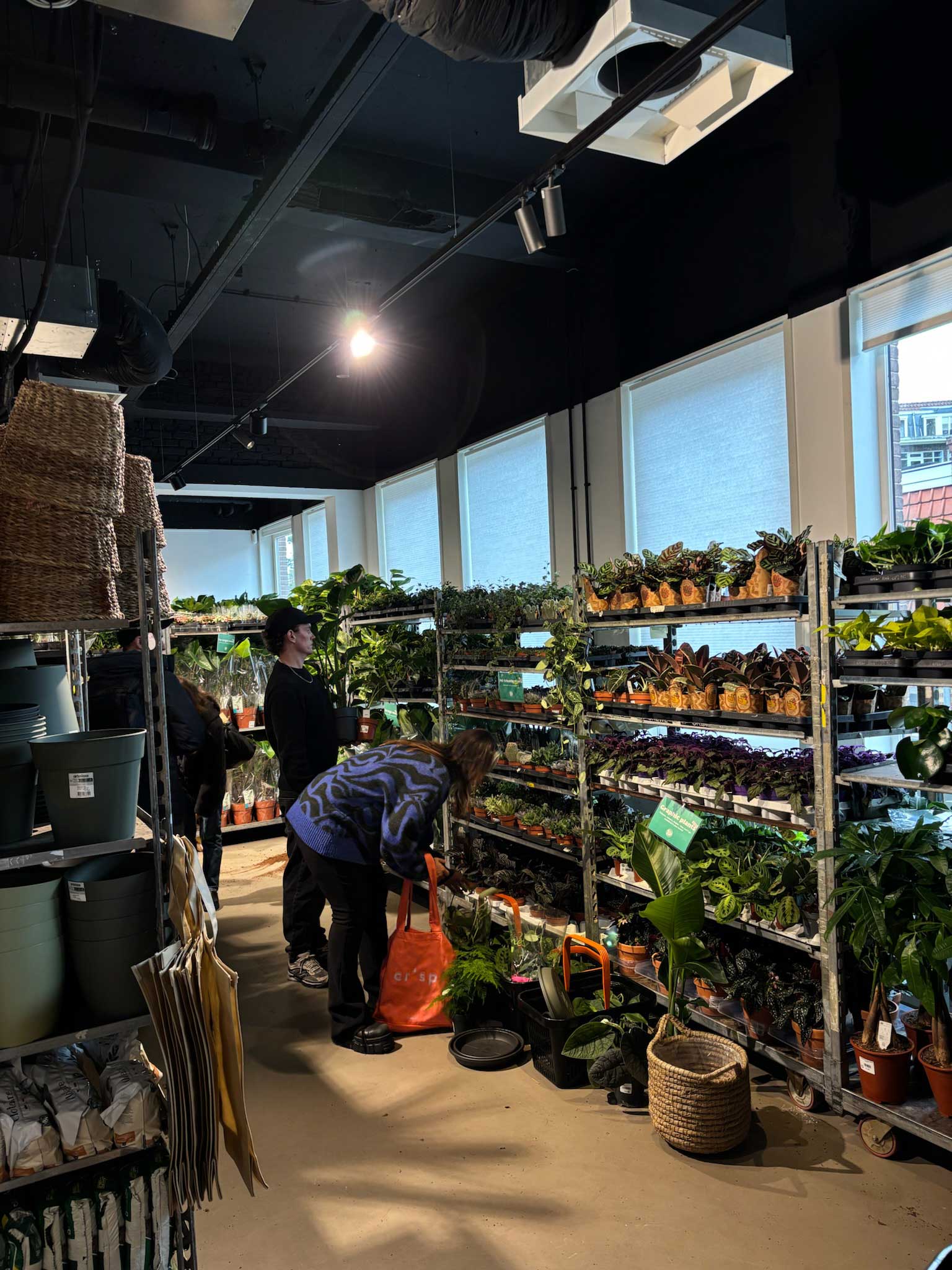 Plants for All in So Studio Amsterdam    